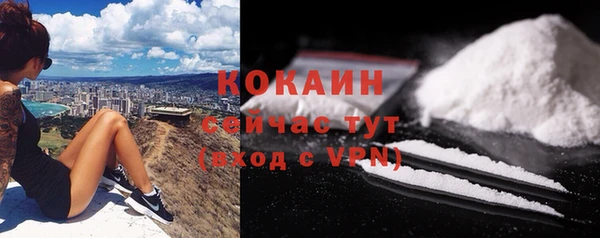 крисы Новокубанск