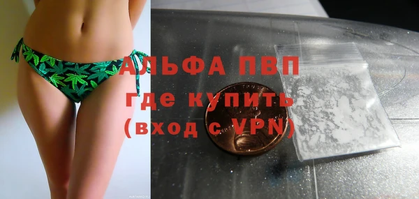 крисы Новокубанск
