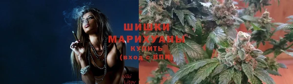 крисы Новокубанск