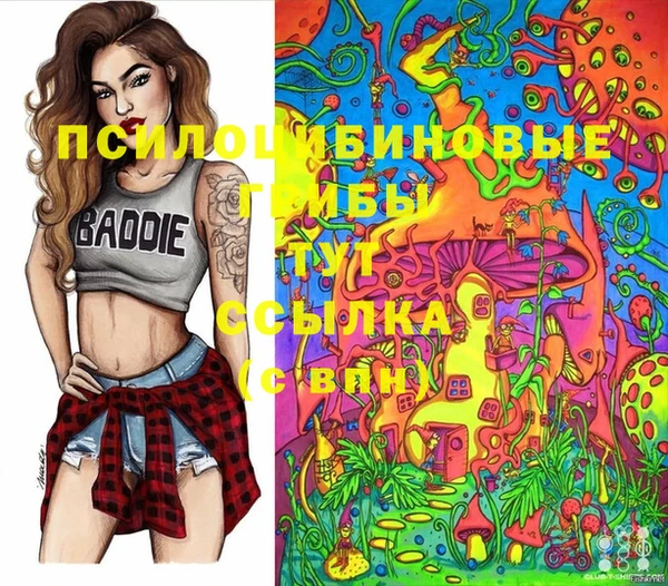 крисы Новокубанск