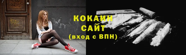 амф Новодвинск