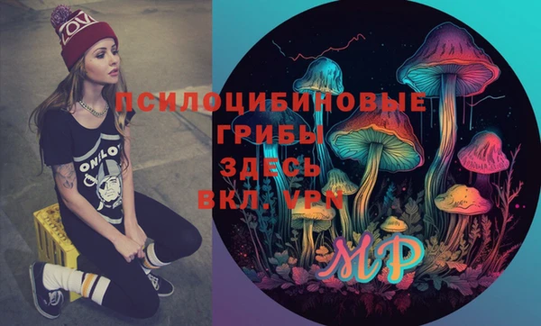 амф Новодвинск