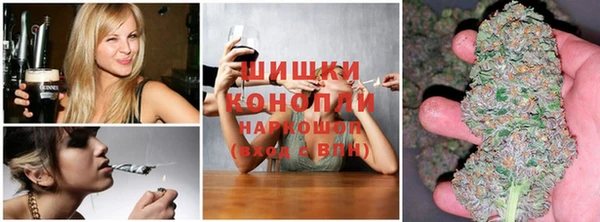амф Новодвинск