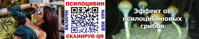 хочу наркоту OMG как зайти Галлюциногенные грибы Psilocybine cubensis Ялта