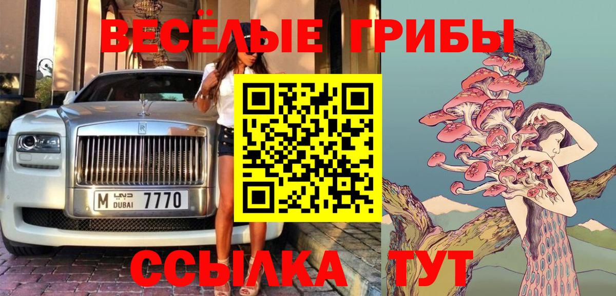 Псилоцибиновые грибы Psilocybe Ялта