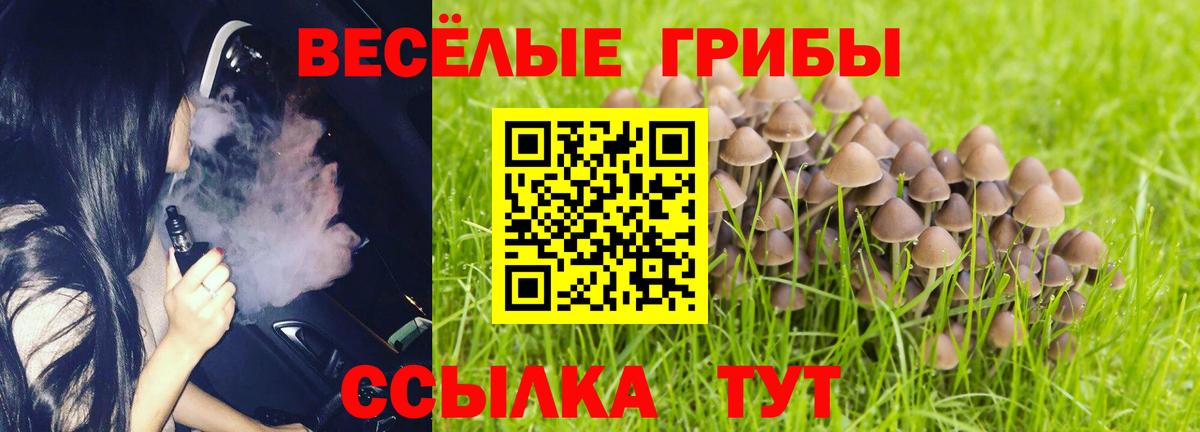 Ялта  Галлюциногенные грибы мухоморы  Вход с VPN 